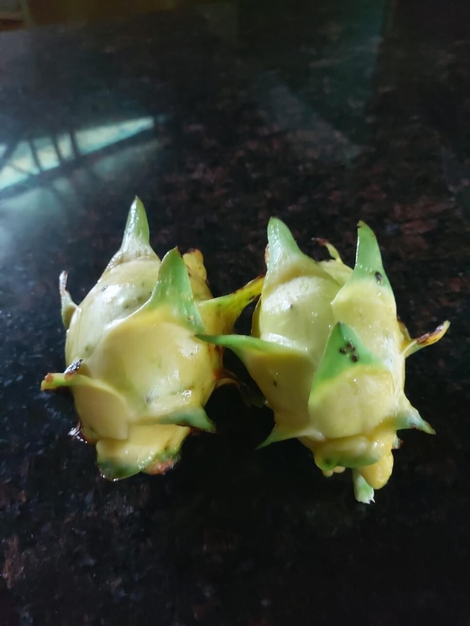 small DRAGON FRUIT CUTTINGS – MULTIPLE VARIETIES – 5″ inches for grafting