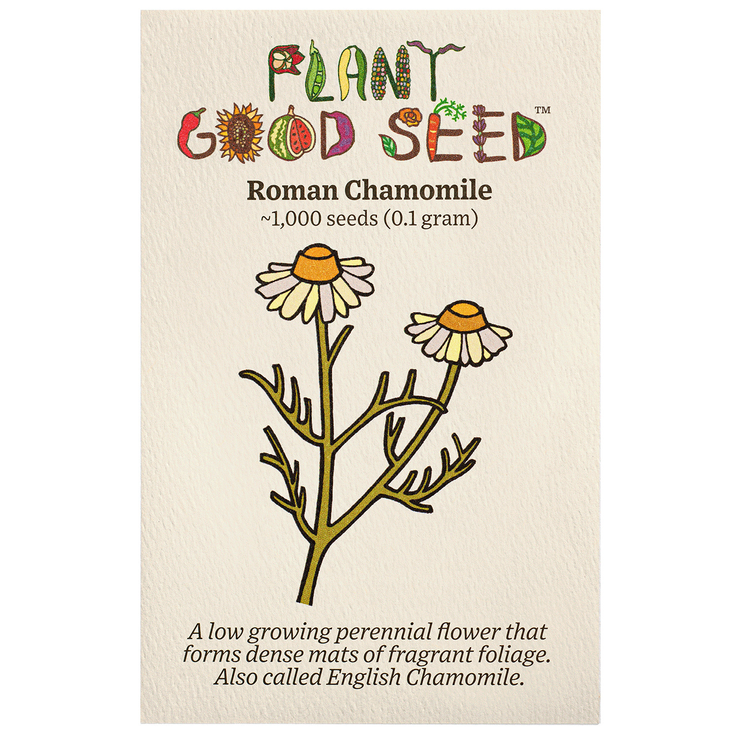 Roman Chamomile Seeds