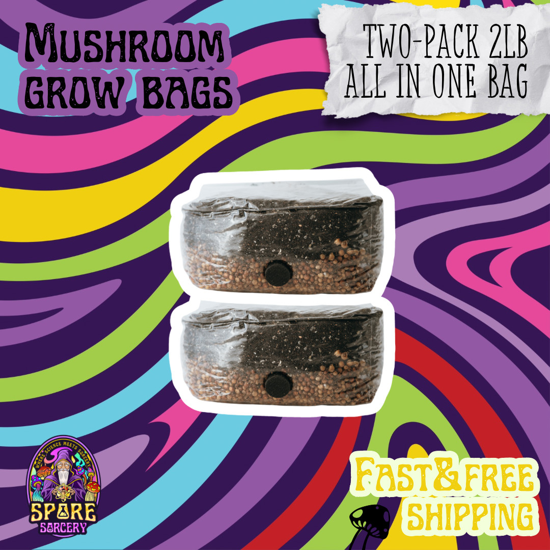 2 Pack | 4lb All-in-One Mushroom Grow Bag | Easy To Use | New Size!
