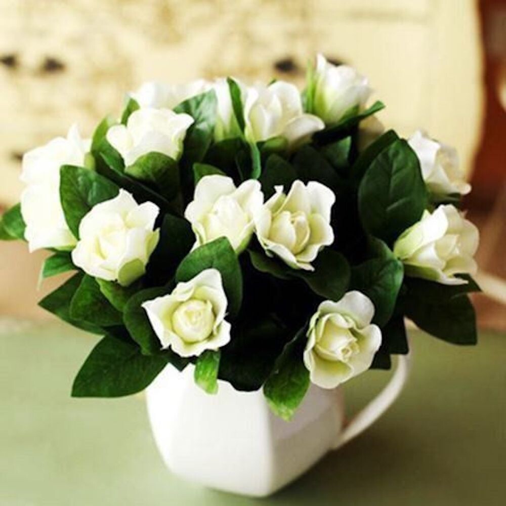 20 MIXED SEEDS GARDENIA fragrant flower exotic garden house plant USA Seller