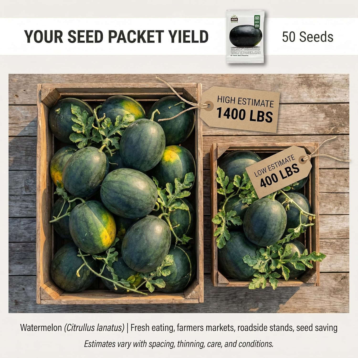 50 Black Diamond Watermelon Seeds for Planting – Heirloom Non-Gmo Fruit Seeds fo