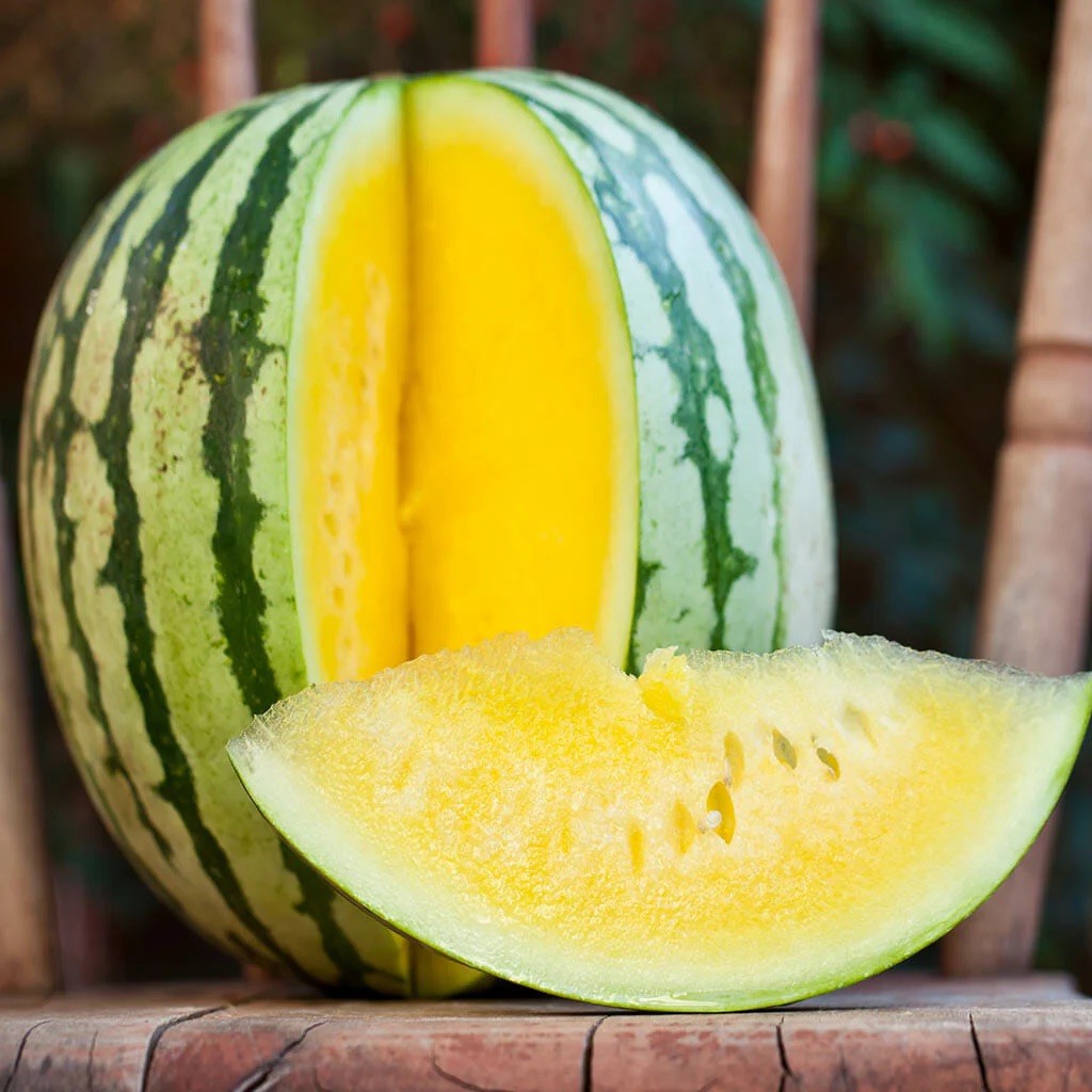 RARE Golden Honey Watermelon Seeds 10+ NON-GMO | ORGANIC | HEIRLOOM | FREE SHIP