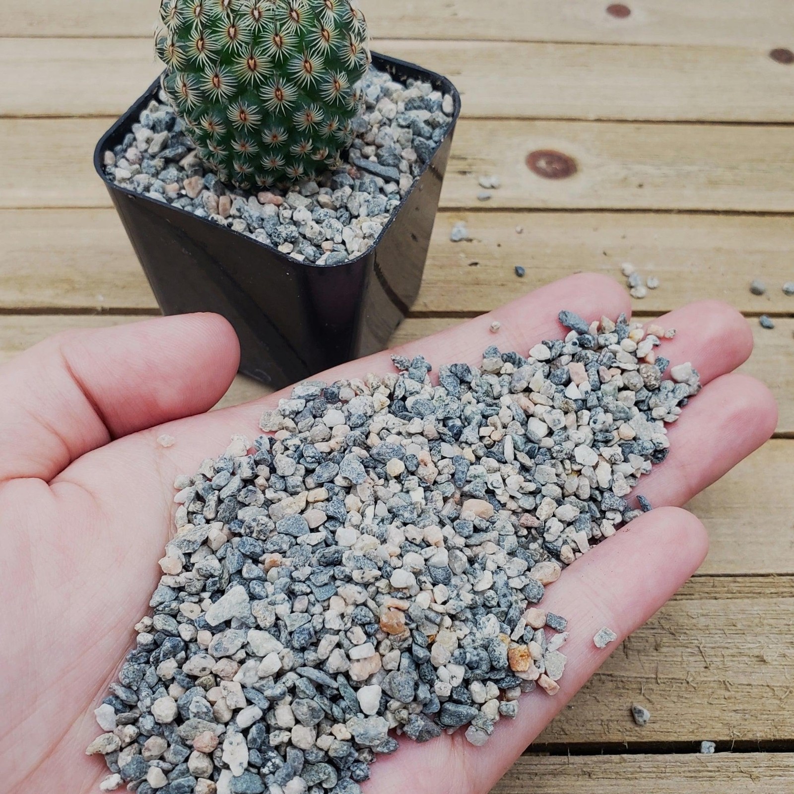 1lb #10 Grid Top Soil Dressing Pebbles for seed germination