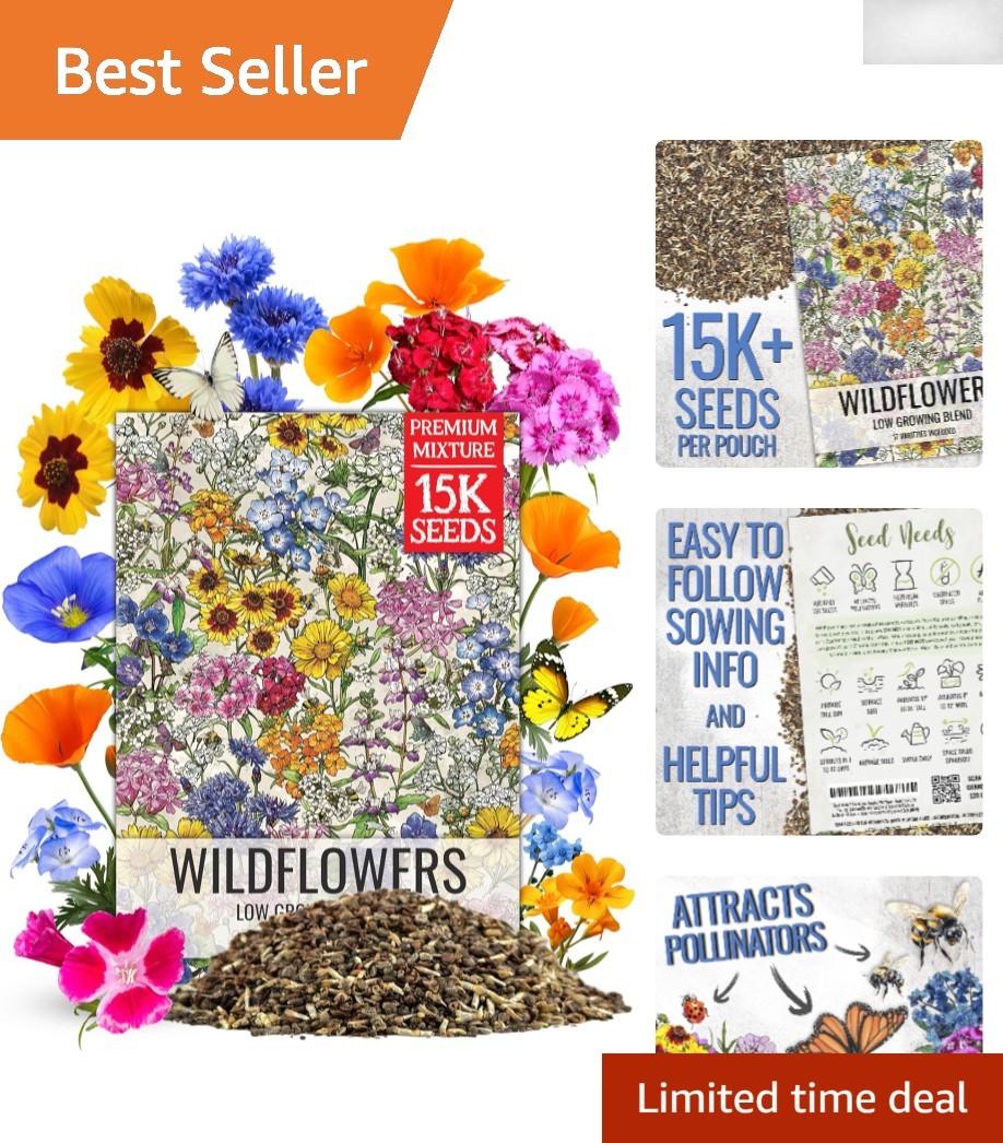 1oz Heirloom Wildflower Seed Blend – 17 Varieties for Vibrant Butterfly Gardens