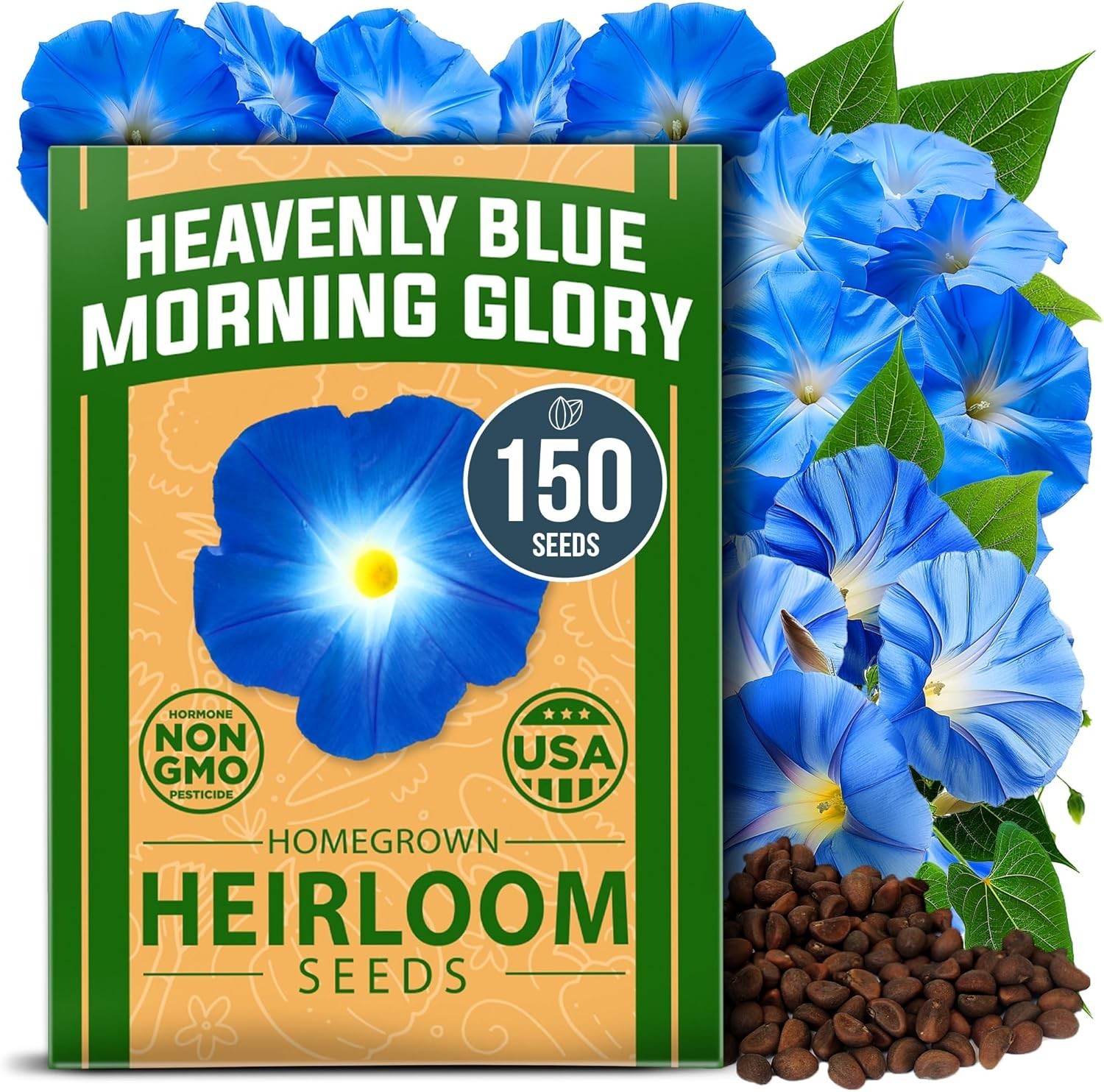 Heavenly Blue Morning Glory Seeds – 150 Heirloom for Pollinator-Friendly Gardens