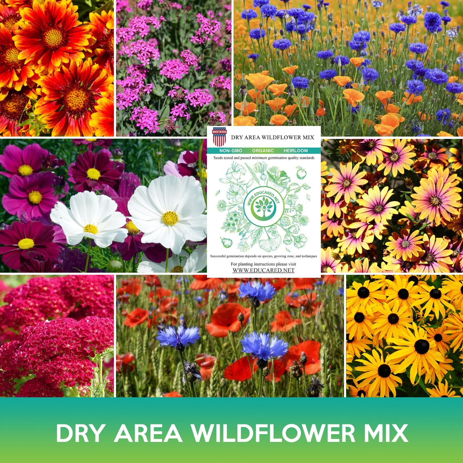 Dry Area Wildflower Mix Seeds