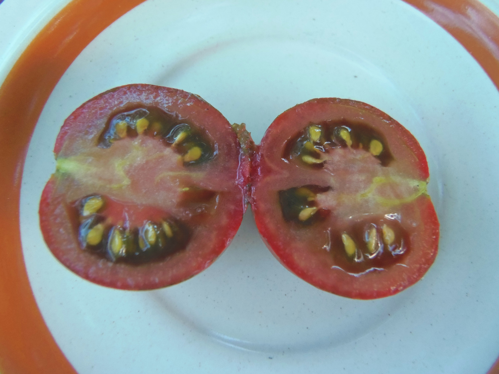 Cal Red and Green – Unique combination of colors and great flavor!