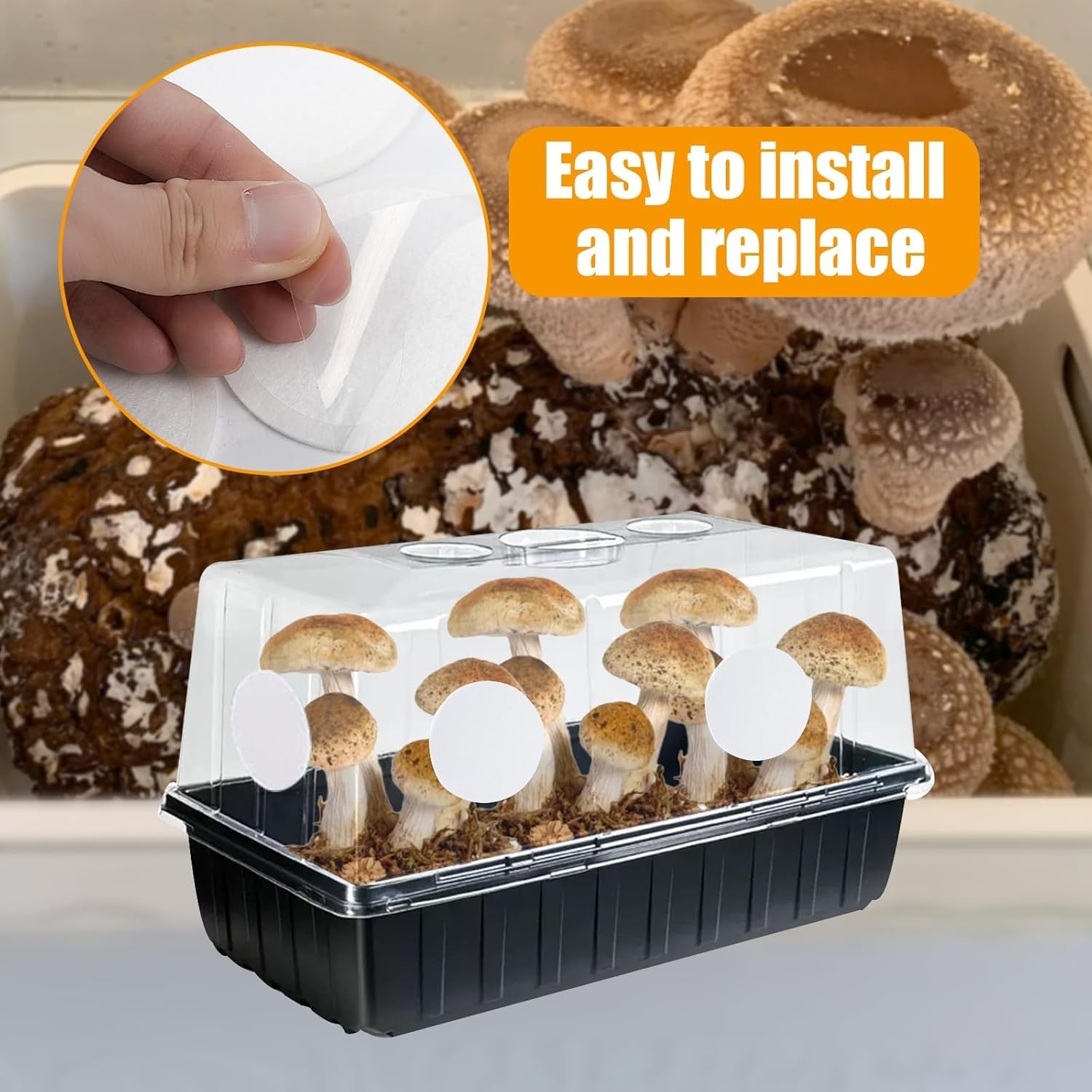 12PCS 2.5in Monotub Filter Disks – Optimal Adhesive Solution for Mushroom Growth