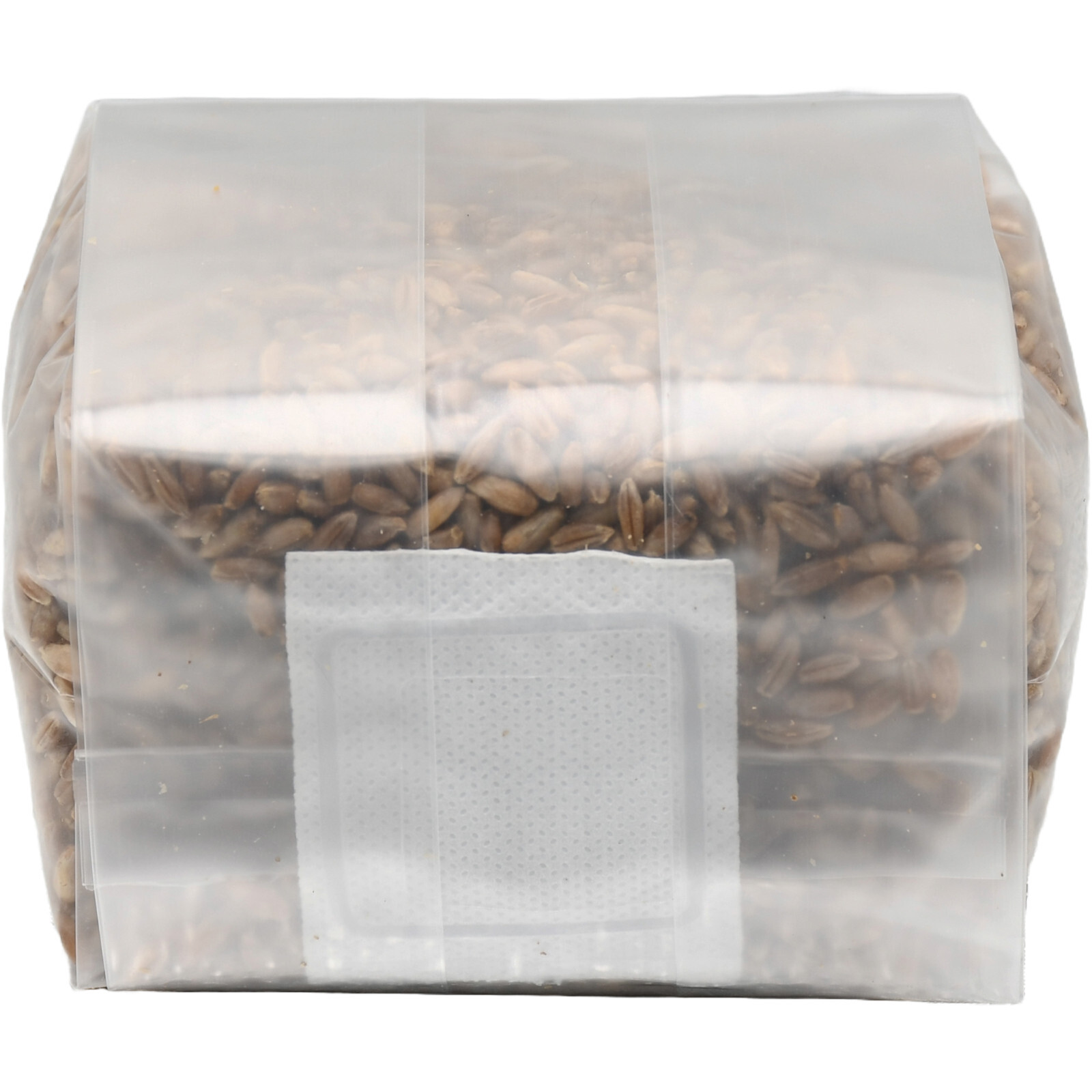 Sterilized Rye Berry Mushroom Substrate (6 x 1lb bags)