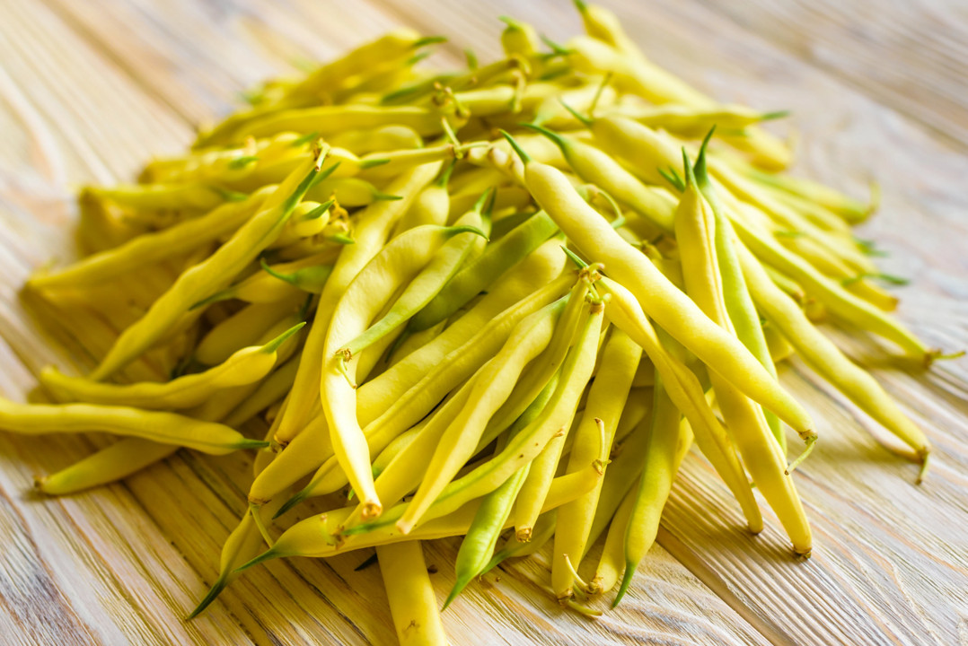Pencil Pod Yellow Wax Bean Seeds | Gold Heirloom Green Beans Vegetable Seed 2024