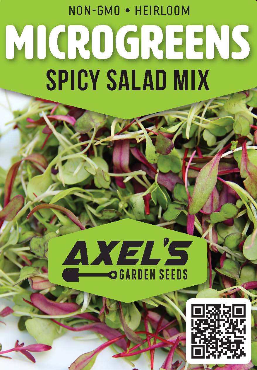 Spicy Salad Microgreen Seeds – Non GMO Heirloom High Germination – Fast Shipping