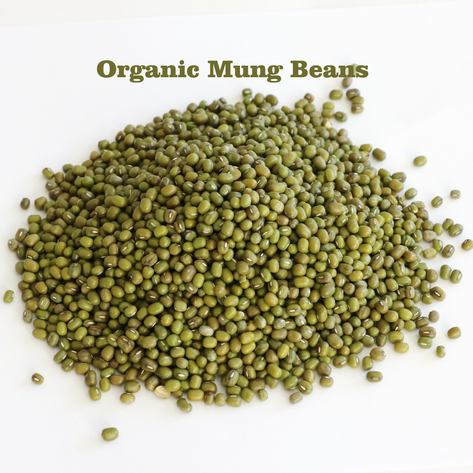 Mung Beans,Sprout-able Green Moong Frijol mongo Dry Raw, Great for making Sprout