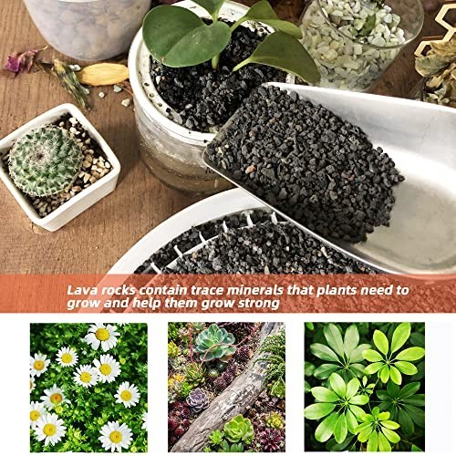 3lb Black Lava Rock – Horticultural Volcanic Soil for Landscaping, Bonsai, Cacti