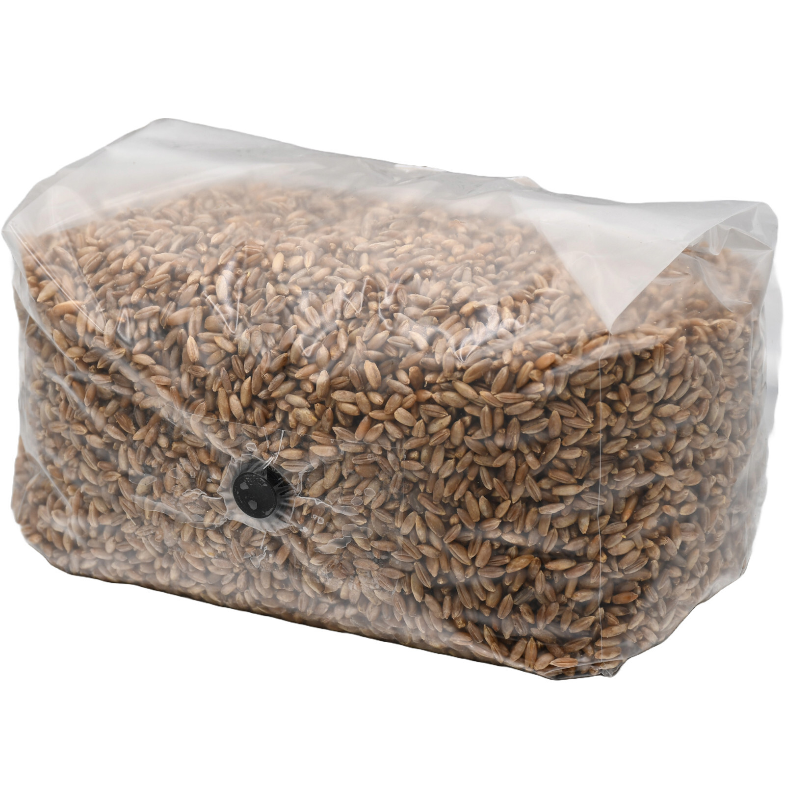Sterilized Rye Berry Grow Bag (25lbs)