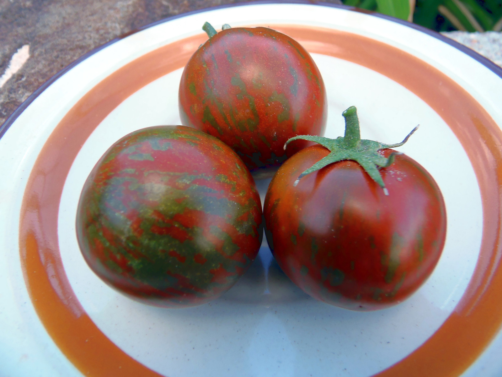 Cal Red and Green – Unique combination of colors and great flavor!