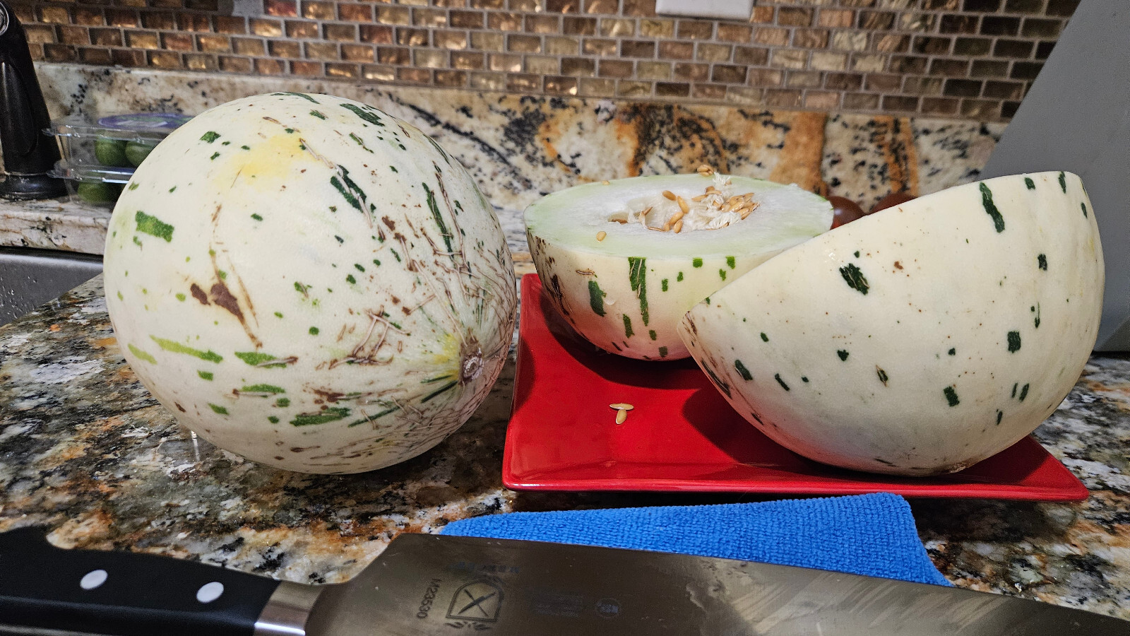 DYNO MELON Seeds (25) / DINOSAUR EGG MELON / HONDURAS / SUPER RARE FRUIT