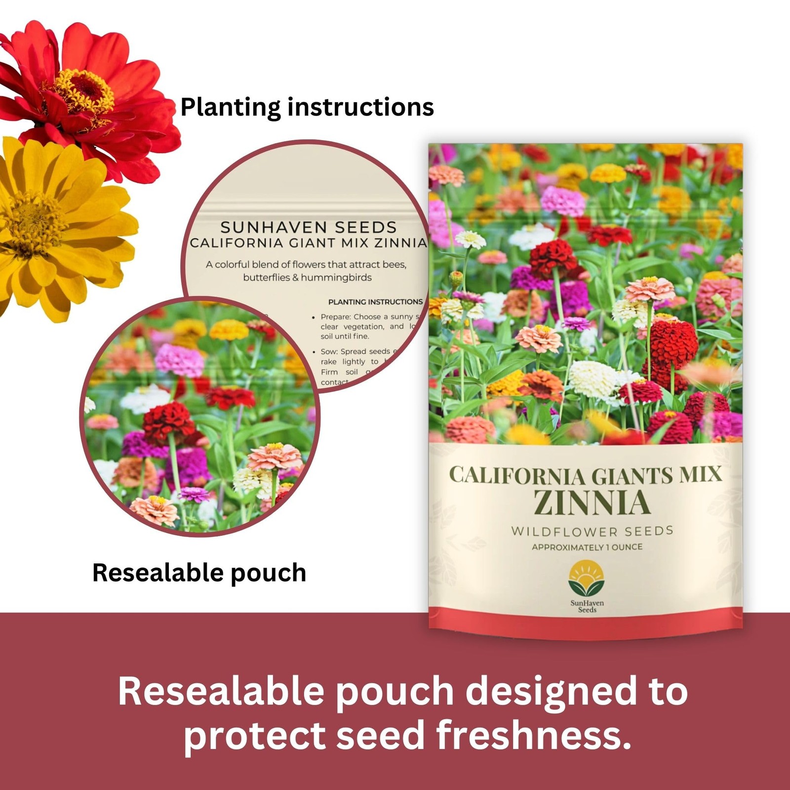 SunHaven Seeds Zinnia 1 Ounce, Red, White, Pink, Yellow, Violet, and Orange