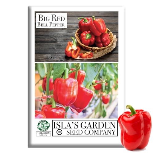 Big Red Bell Pepper Seeds (Capsicum annuum) – 50+ Non-GMO Heirloom Seeds by