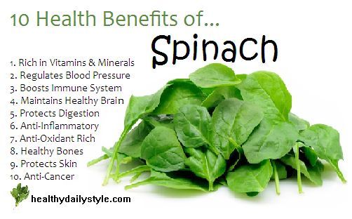 200 Bloomsdale Spinach Seeds-Non GMO-Open Pollinated-Organic-Cool Weather.