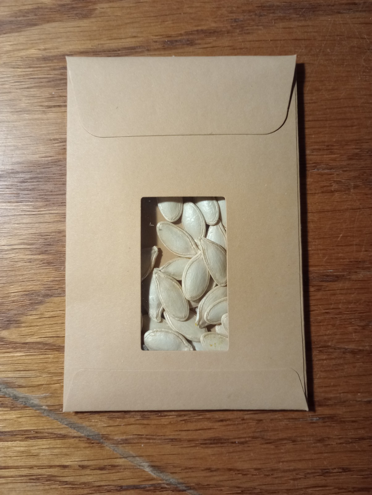 Sugar Pumpkin Seeds 50 ct Zones 3-9 Pumpkin Pie Collected 2025