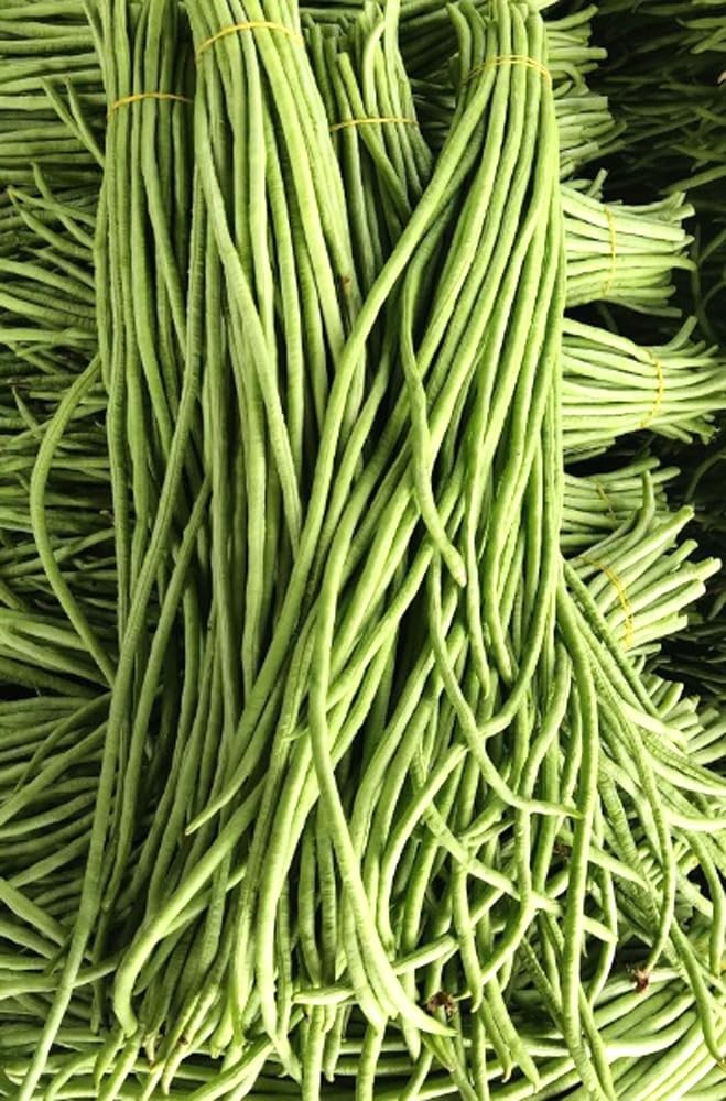 30PCS Green/Red Yard Long Bean Seeds Asian Noodle Asparagus Bean Seeds Set