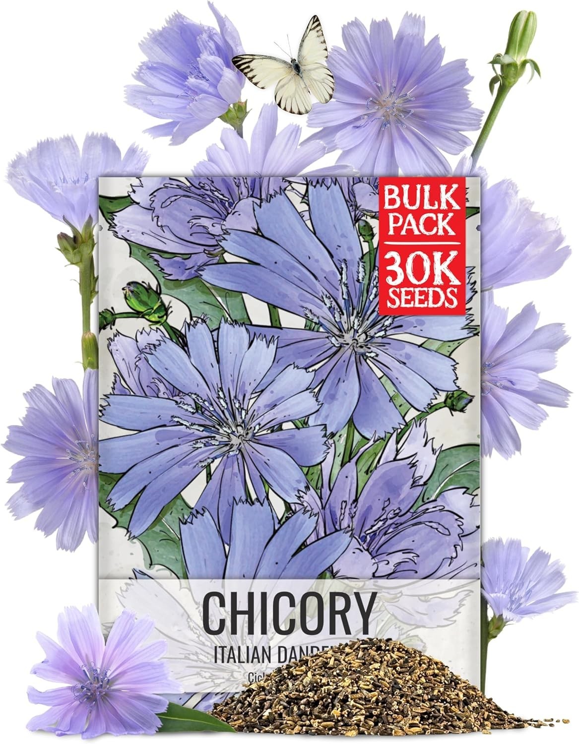 Seed Needs Chicory Seeds 30,000+ Italian Dandelion Non-GMO Heirloom & Untreated