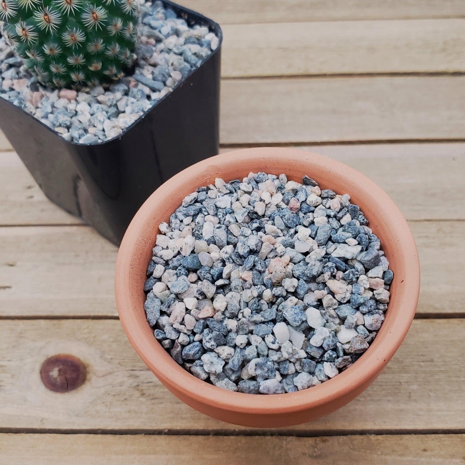 1lb #10 Grid Top Soil Dressing Pebbles for seed germination