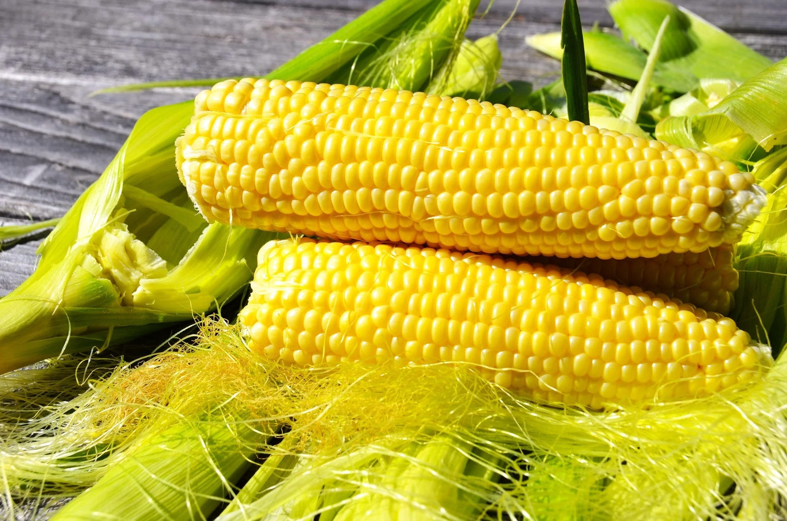 Honey Select Triple Sweet Corn Seeds | AAS Winner Untreated Yellow SY Seed 2023