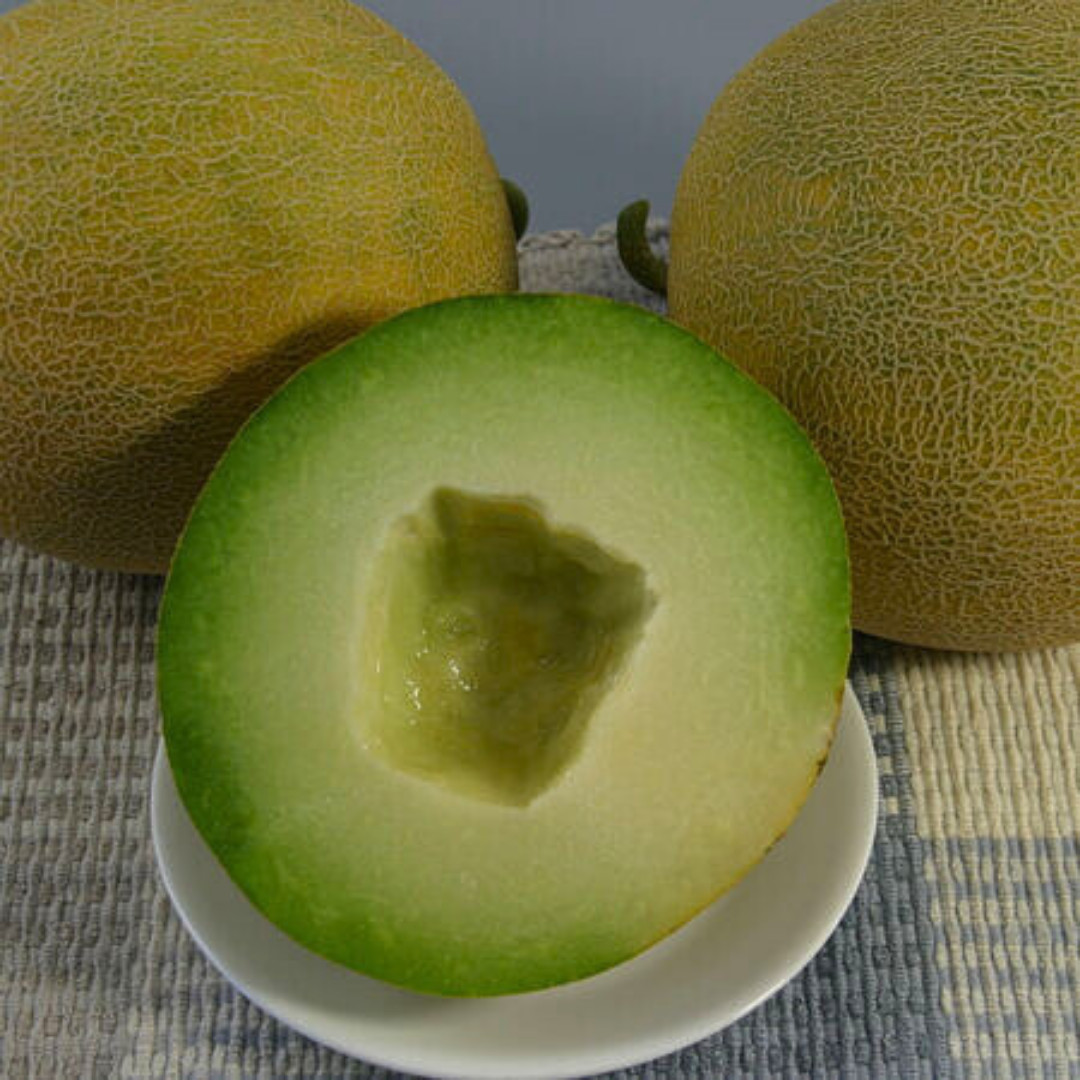 Fresh Honeydew Melon Seeds | Green Flesh | Heirloom Non-GMO | Fruit Seeds