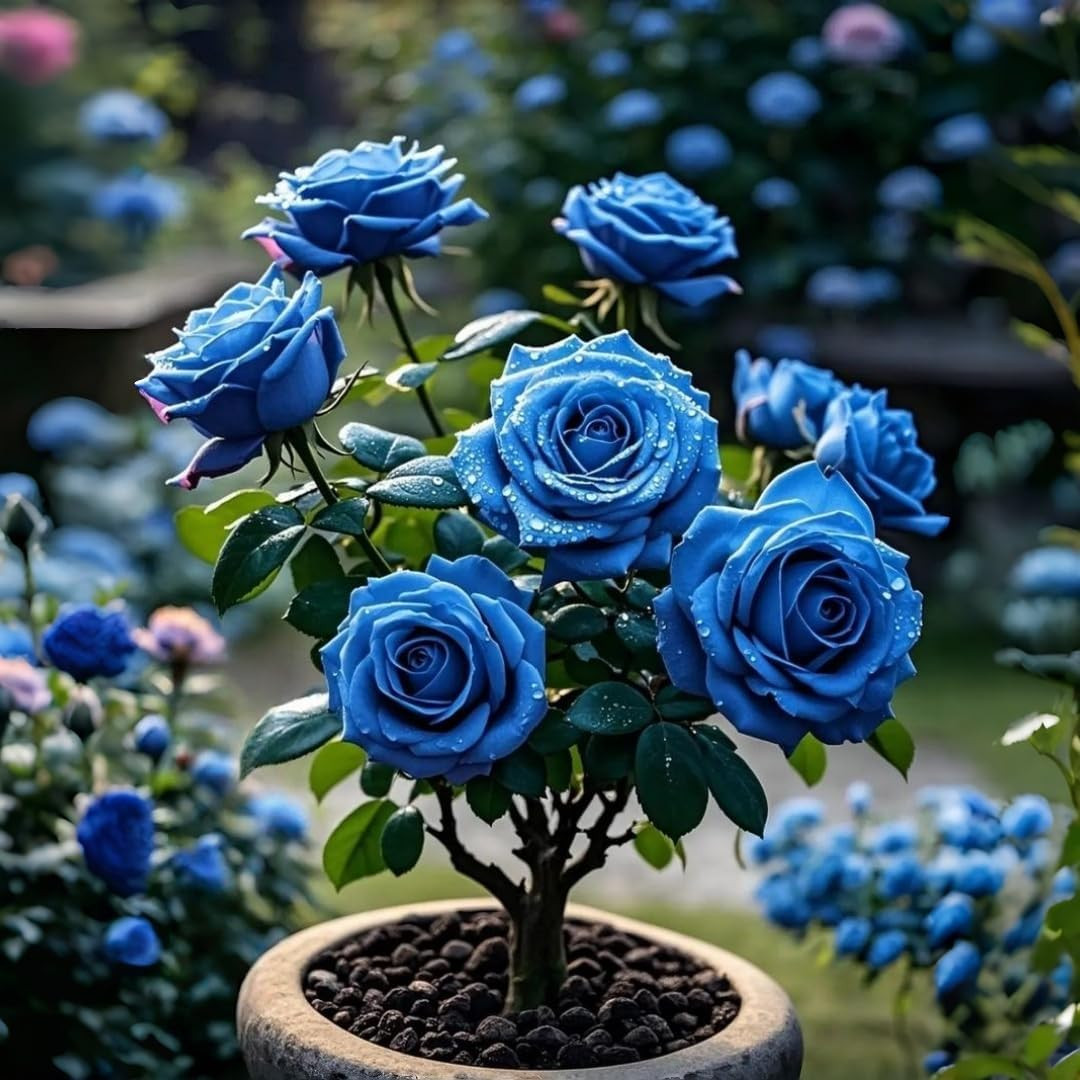 Perennial Rose Seeds Mix 110PCS – Colorful Blooming Perennial – Ideal for Patio,