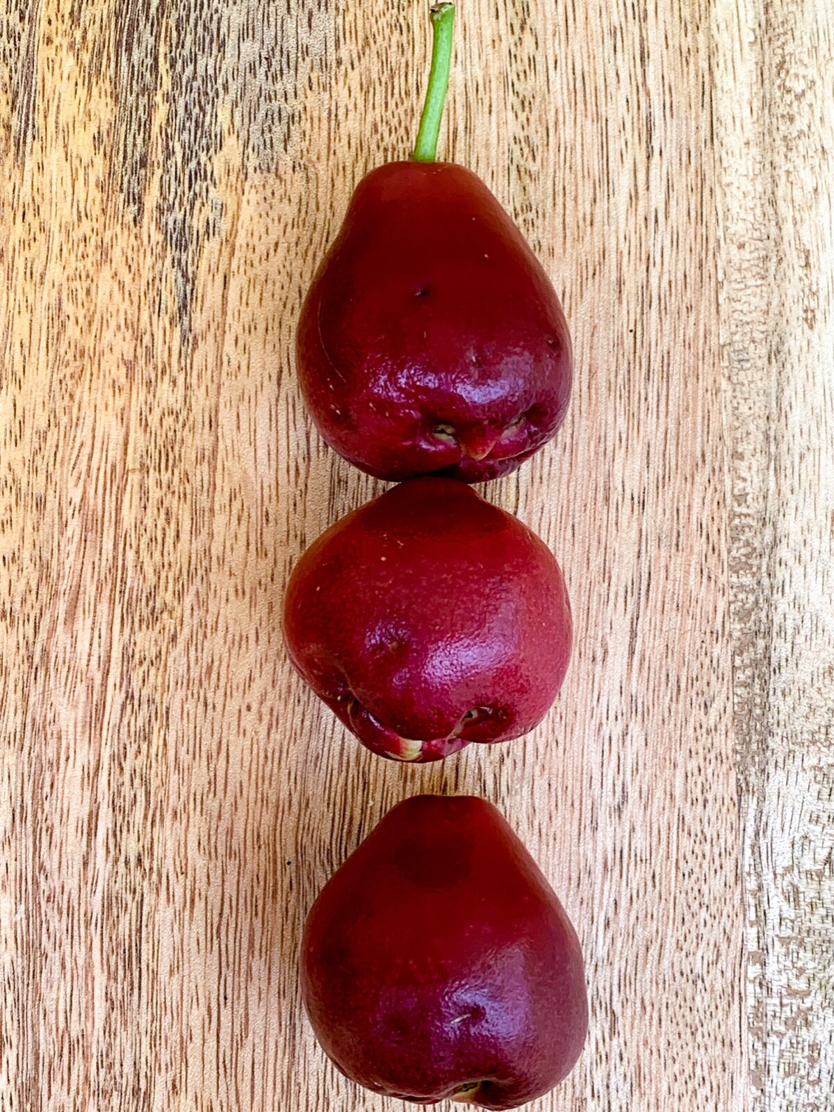 Purple Malay Apple Syzygium malaccense Fruit Tree Starter Potted Plant Very RARE