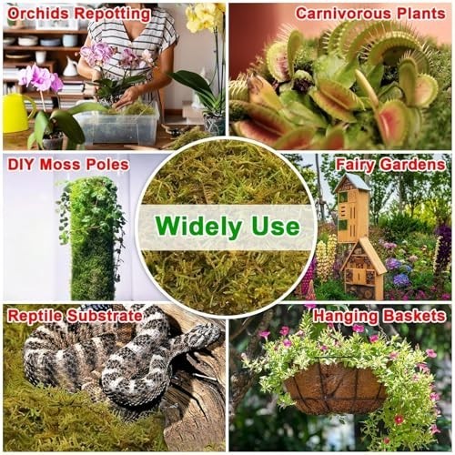 Sphagnum Moss for Plants 2.2LB 50QT Green Natural Long Fiber for Orchid