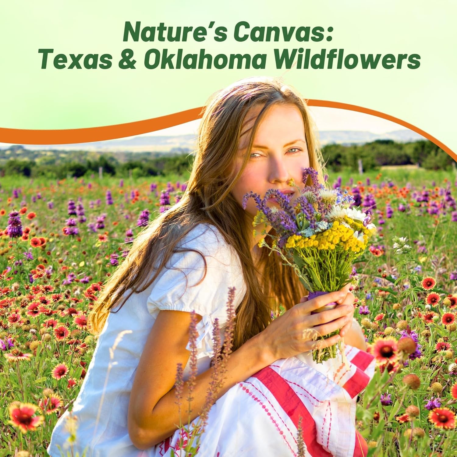 1 LB Texas and Oklahoma Wildflower Seed Mixes For Planting Outdoors