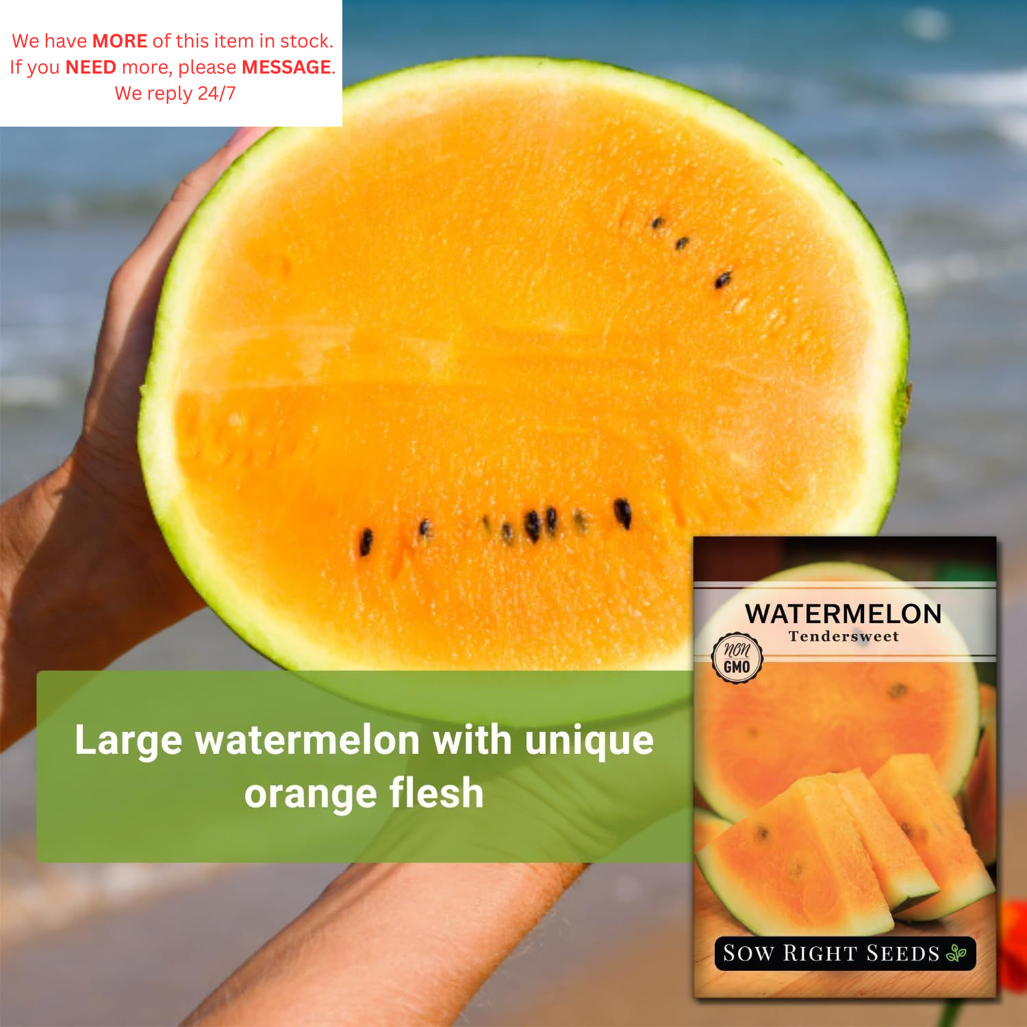 Sow Right Seeds – Tendersweet Watermelon for Planting – Non-GMO orange
