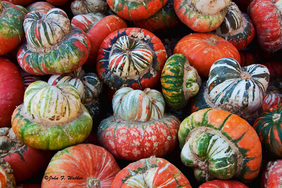Turks Turban, (Turban Squash), Cucurbita maxima, Seeds