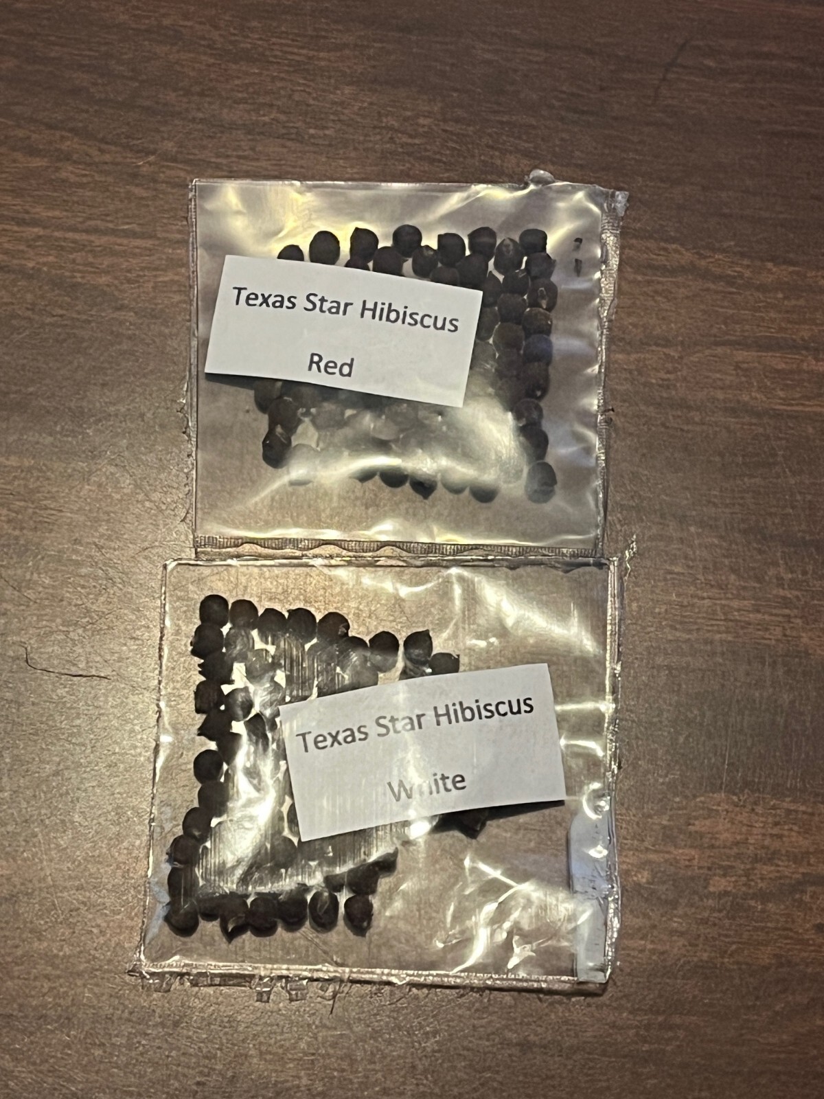 Texas Star Hardy Hibiscus Seeds RED and WHITE 50+ of each, 100+ SPRING SALE!!!