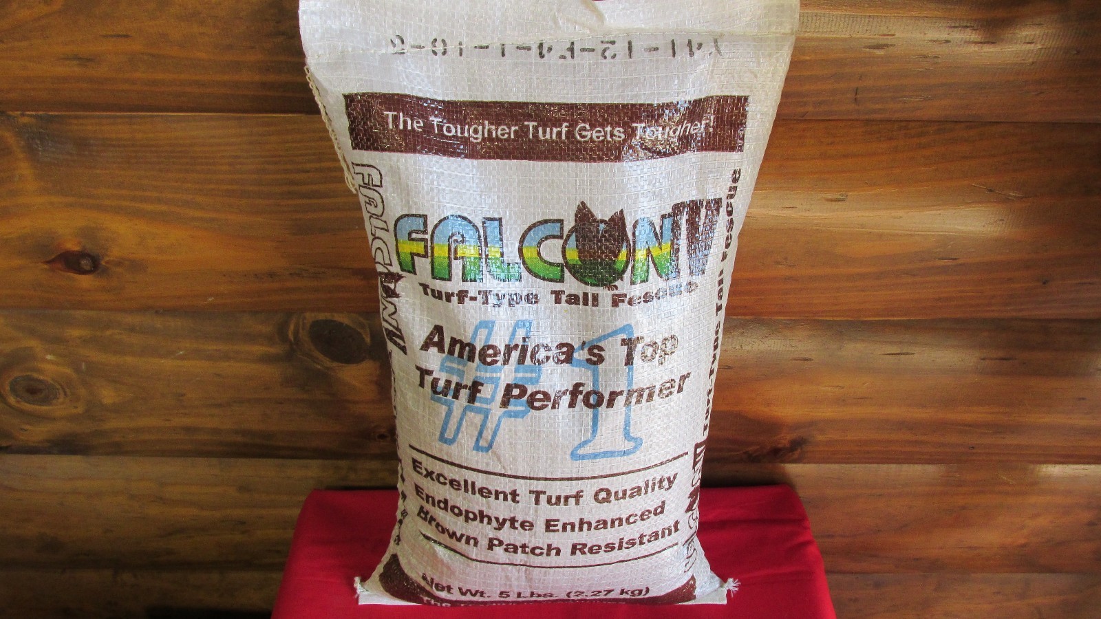 FALCON IV TURF TYPE FESCUE Grass Seed Disease Resistant Deep Green Color & Hardy