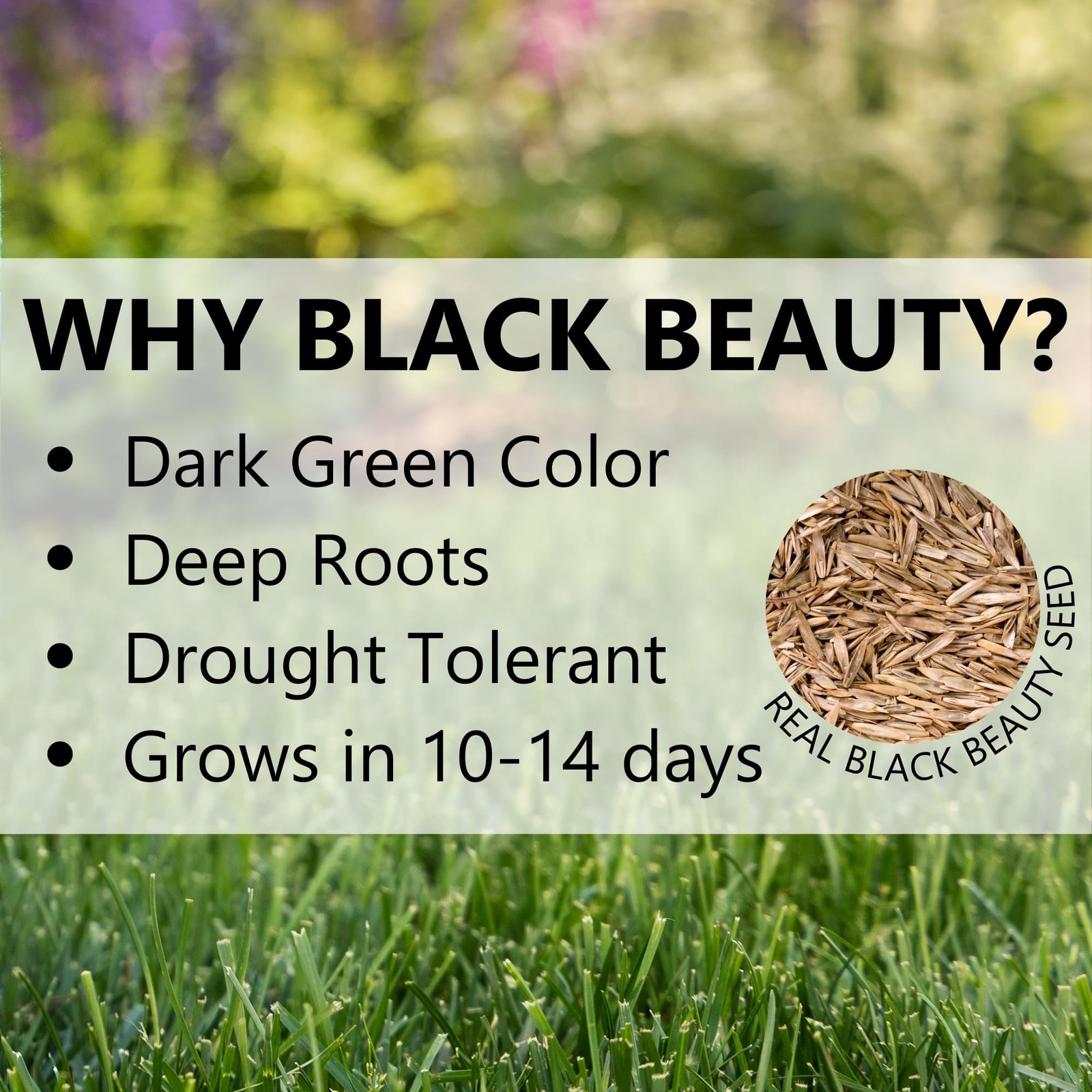 Jonathan Green Black Beauty Heavy Traffic Grass Seed – Cool Season Lawn Seed