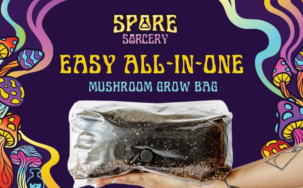 3 Pack | 4LB All-In-One Mushroom Grow Kit | Mushroom Grow Bag