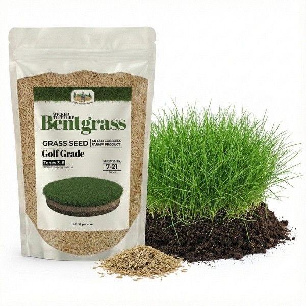 Old Cobblers Farm™ Highland Bentgrass Grass Seed – For Green Lush Lawn