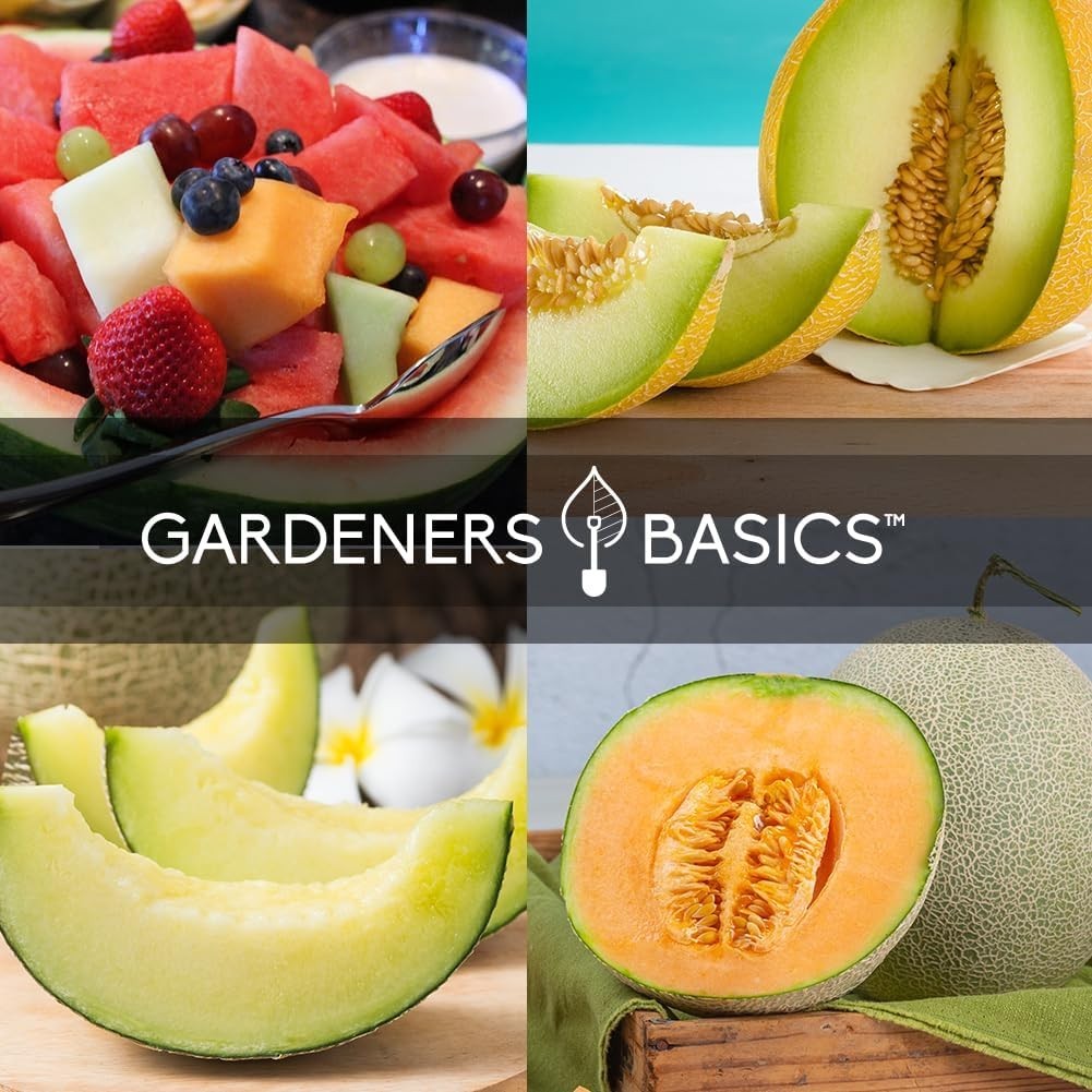 Home Garden Melon Collection: 5 Heirloom Seeds for Sweet Summer Fruits
