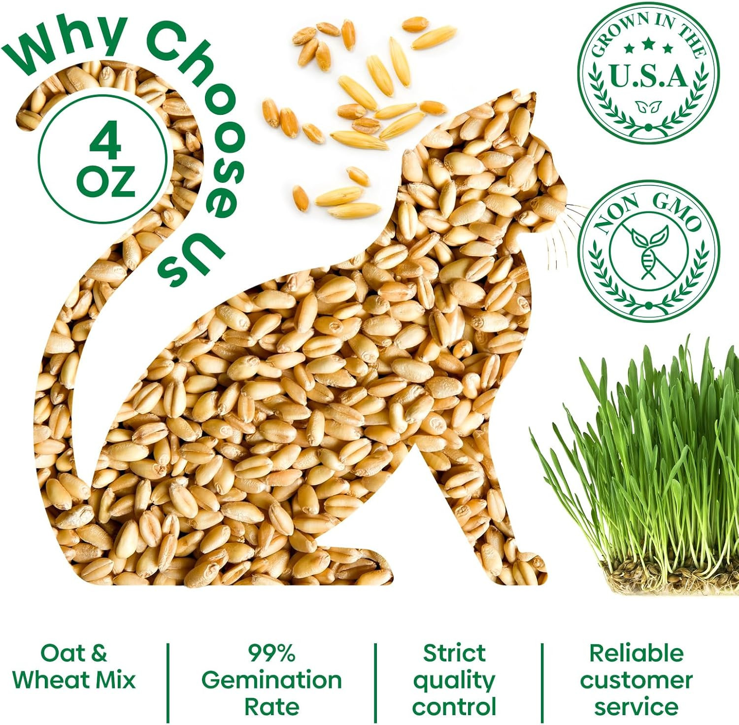 Cat Grass Seeds Mix, Non-GMO Wheat & Oat, Indoor Cats, USA Grown, 4 oz