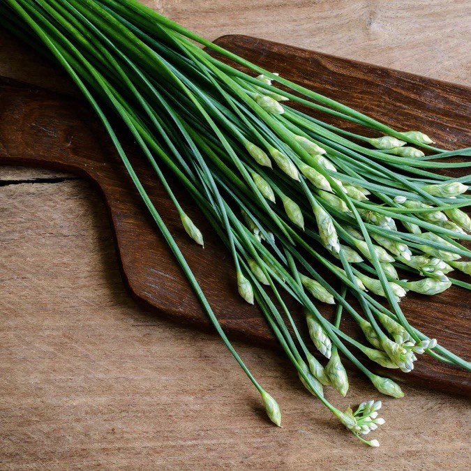 100+ Garlic Chives Seeds (Allium tuberosum) Chinese Chives Jiu cai Vegetable USA