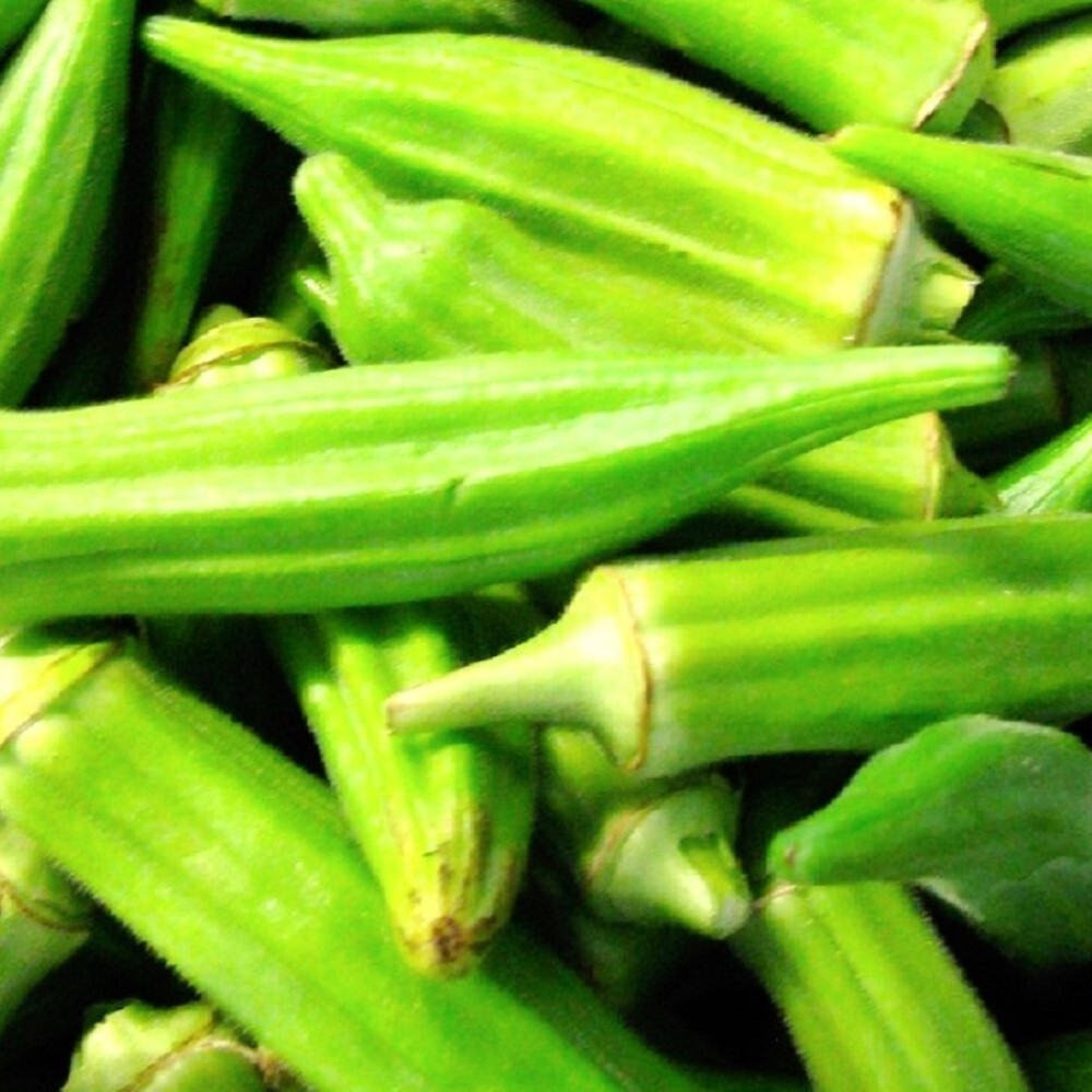 Clemson Spineless Okra Seeds | NON-GMO | Heirloom | Fresh Garden Seeds
