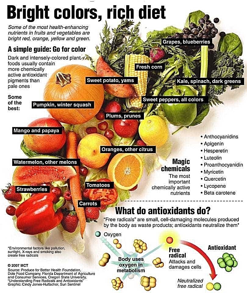 NON GMO HEIRLOOM VEGETABLE SEED YOU CHOOSE OVER 90 VARIETIES GROW YOUR OWN FOOD!