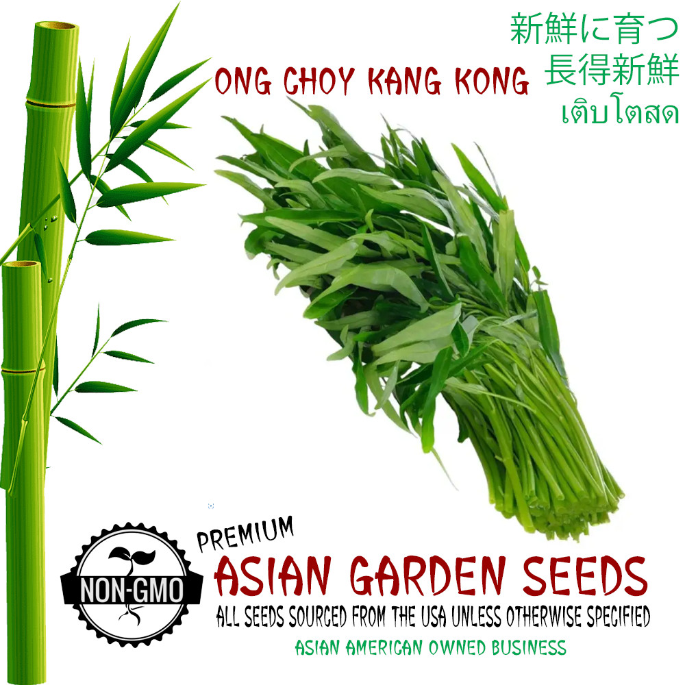 Water Spinach | Ong Choy | Kang Kong Xin Cai | Rau Muống Trắng