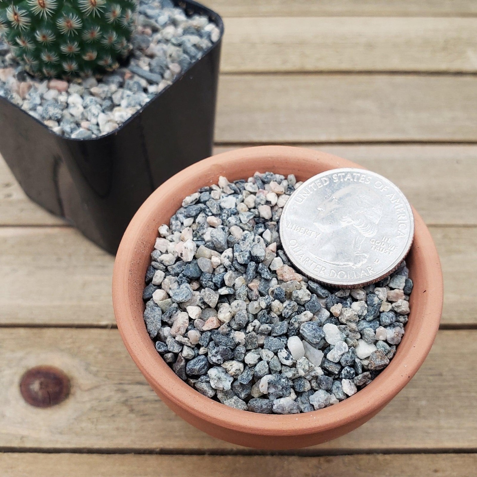 1lb #10 Grid Top Soil Dressing Pebbles for seed germination