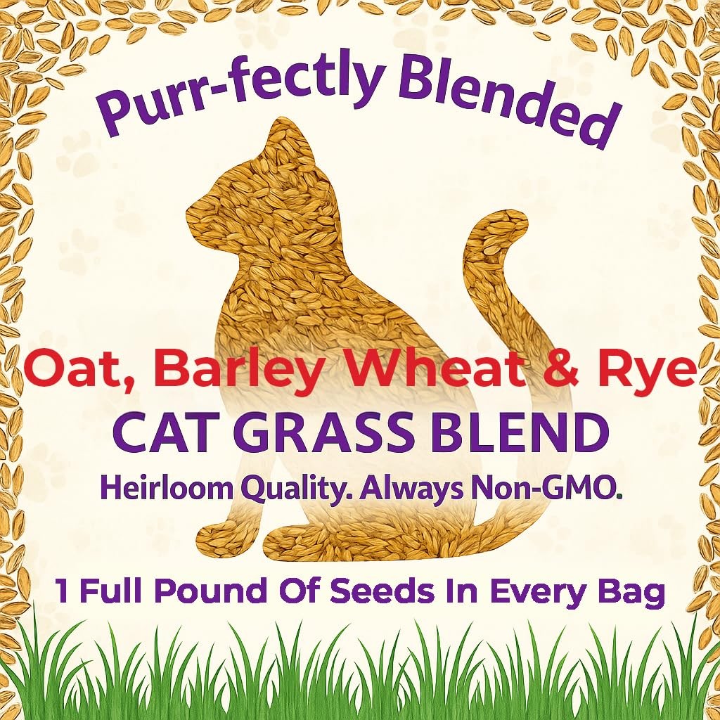 Premium Cat Grass Seeds for Indoor Cats, Non GMO – 1 lb Oat, Wheat, Barley & …
