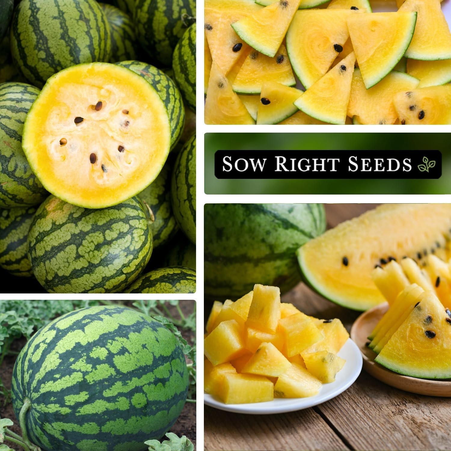 Yellow Watermelon Seeds – Sweet, Nutritious, Non-GMO Heirloom for Easy Gardening