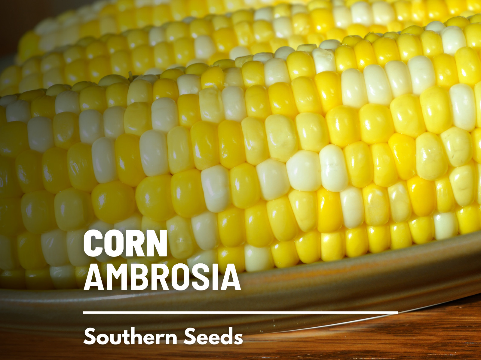 Corn, Ambrosia – 60 Seeds – Sweet Corn – Hybrid Vegetable – Non-GMO (Zea mays)